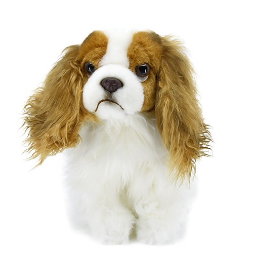 King Charles plüss spániel 25cm