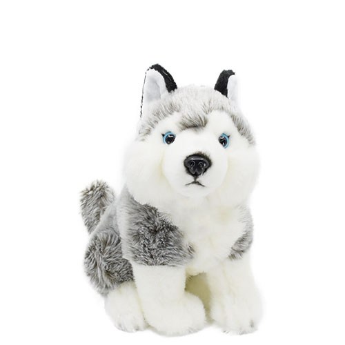 Plüss husky 30cm